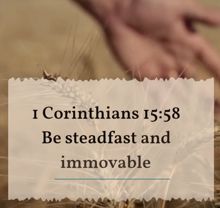 be steadfast - first corinthians 15 58 by romantic scents bath body soaps featured photo